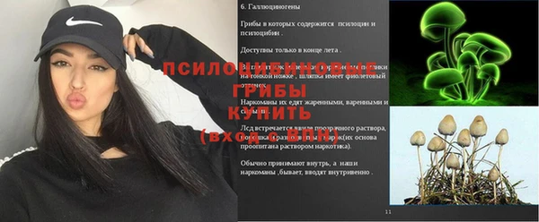 винт Покачи