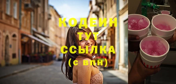 хмурый Покров