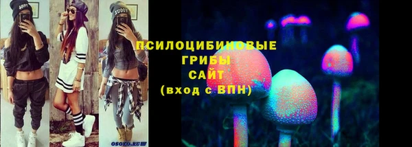прущая мука Пестово