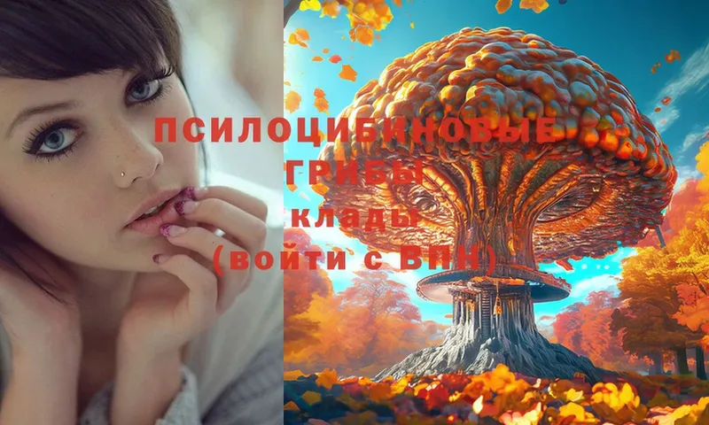 shop клад  Комсомольск  Галлюциногенные грибы Magic Shrooms  купить наркотик 